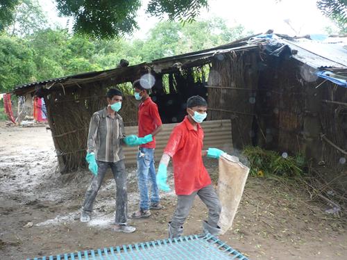 Sanitation Cleanliness drive in flood affected area